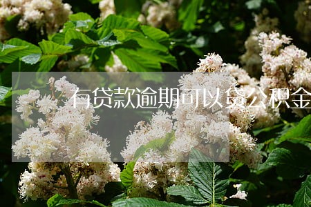 有贷款逾期可以贷公积金吗 有贷款逾期可以贷公积金吗
