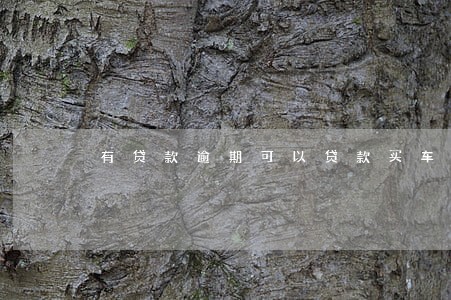 有贷款逾期可以贷款买车吗 有贷款逾期可以贷款买车吗