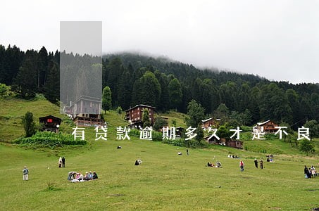 有贷款逾期多久才是不良 有贷款逾期多久才是不良