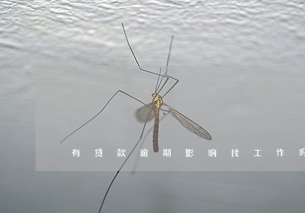 有贷款逾期影响找工作吗 有贷款逾期影响找工作吗