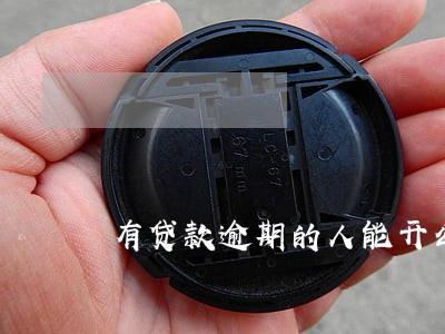 有贷款逾期的人能开公司么 有贷款逾期的人能开公司么
