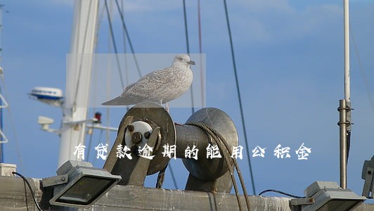 有贷款逾期的能用公积金 有贷款逾期的能用公积金