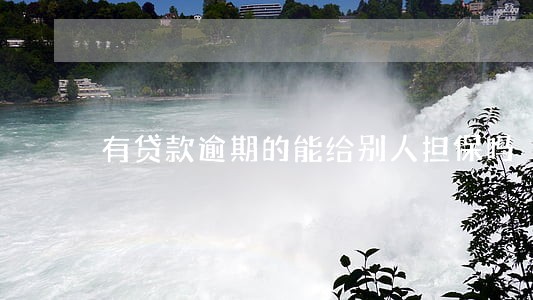 有贷款逾期的能给别人担保吗 有贷款逾期的能给别人担保吗