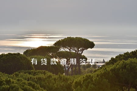 有贷款逾期签证 有贷款逾期签证