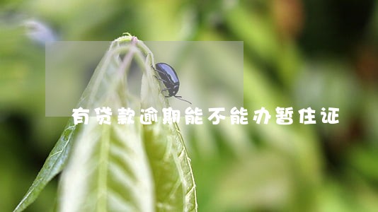 有贷款逾期能不能办暂住证 有贷款逾期能不能办暂住证