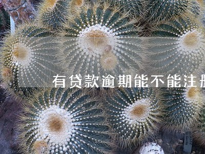 有贷款逾期能不能注册公司 有贷款逾期能不能注册公司