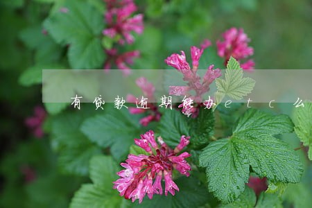 有贷款逾期能办etc么