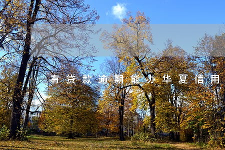 有贷款逾期能办华夏信用卡吗 有贷款逾期能办华夏信用卡吗