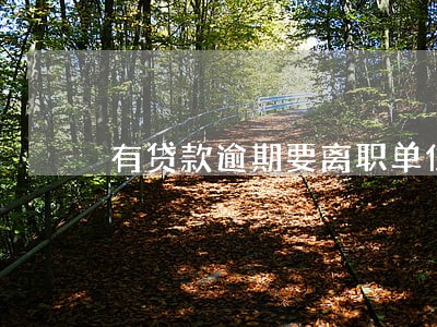 有贷款逾期要离职单位 有贷款逾期要离职单位