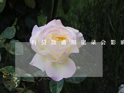 有贷款逾期记录会影响什么影响