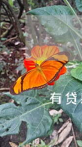 有贷款逾期记录可以房贷吗 有贷款逾期记录可以房贷吗