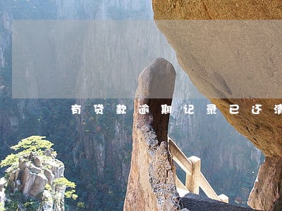 有贷款逾期记录已还清 有贷款逾期记录已还清