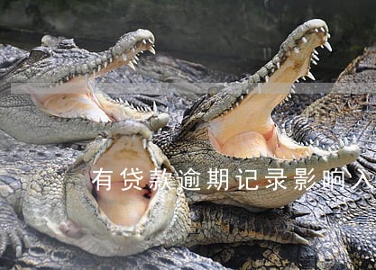 有贷款逾期记录影响入深户吗