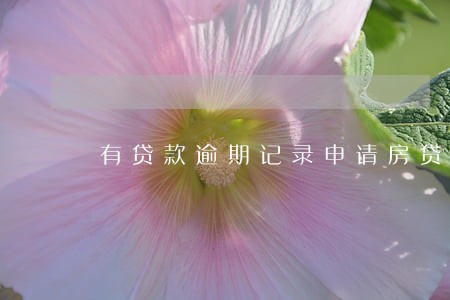 有贷款逾期记录申请房贷 有贷款逾期记录申请房贷