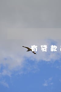 有贷款逾期记录能贷款