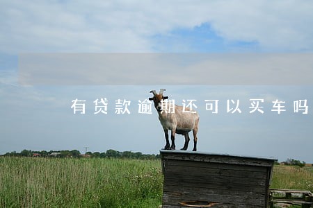 有贷款逾期还可以买车吗 有贷款逾期还可以买车吗