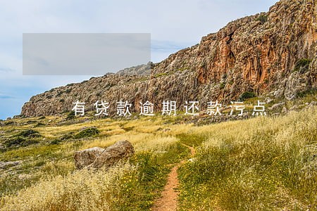 有贷款逾期还款污点 有贷款逾期还款污点