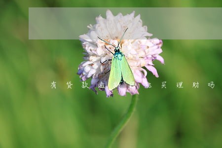 有贷款逾期还能买理财吗 有贷款逾期还能买理财吗