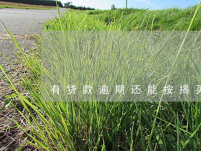 有贷款逾期还能按揭买房吗 有贷款逾期还能按揭买房吗