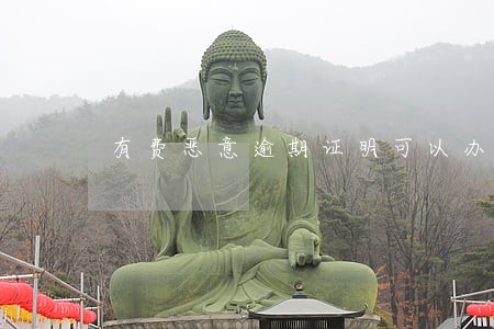 有费恶意逾期证明可以办理房贷