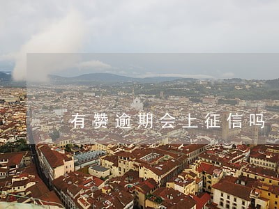 有赞逾期会上征信吗 有赞逾期会上征信吗