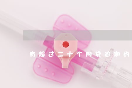 有超过二十个网贷逾期的吗 有超过二十个网贷逾期的吗