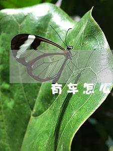 有车怎么赚钱不违法 有车怎么赚钱不违法