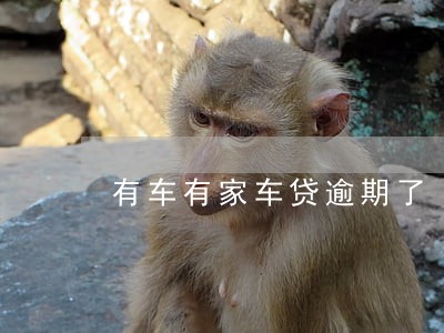 有车有家车贷逾期了 有车有家车贷逾期了