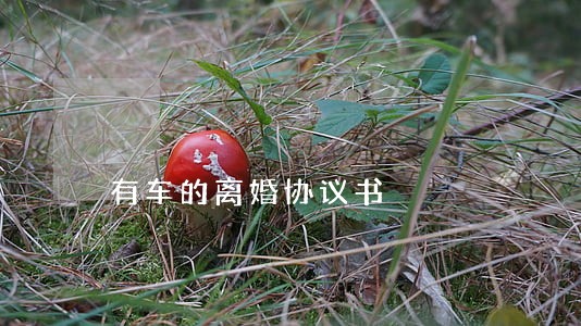 有车的离婚协议书 有车的离婚协议书