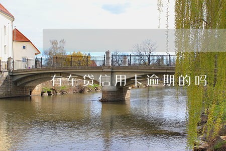 有车贷信用卡逾期的吗 有车贷信用卡逾期的吗