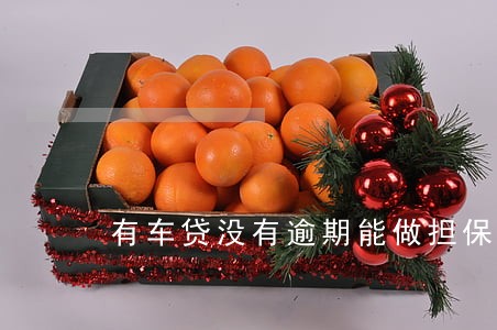 有车贷没有逾期能做担保人吗 有车贷没有逾期能做担保人吗