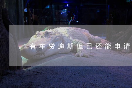 有车贷逾期但已还能申请网贷不 有车贷逾期但已还能申请网贷不