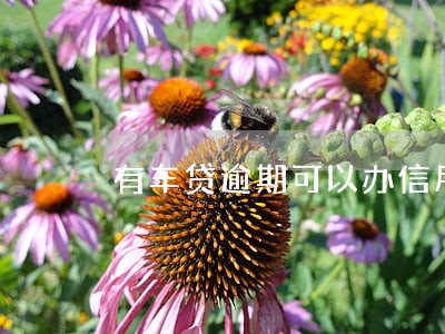 有车贷逾期可以办信用卡吗 有车贷逾期可以办信用卡吗