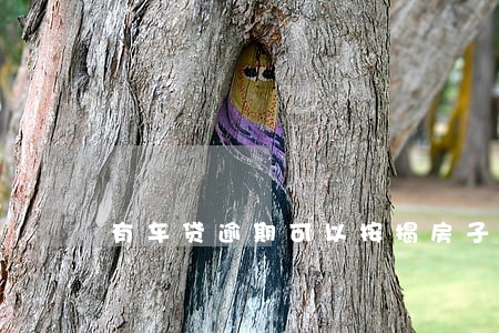 有车贷逾期可以按揭房子嘛 有车贷逾期可以按揭房子嘛