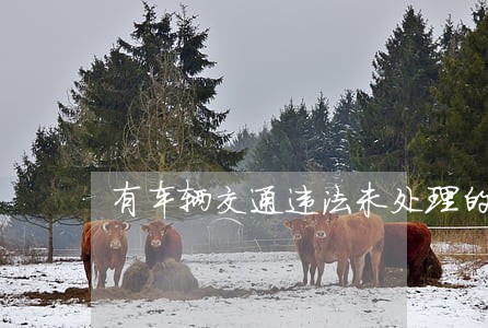 有车辆交通违法未处理的车主注意 有车辆交通违法未处理的车主注意