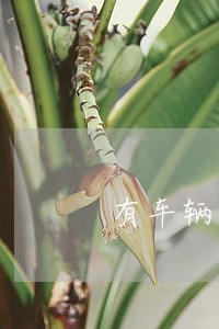 有车辆逾期记录可以买车吗 有车辆逾期记录可以买车吗