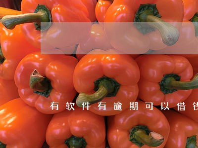 有软件有逾期可以借钱 有软件有逾期可以借钱