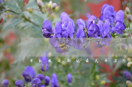 有轻微逾期记录几年消除 有轻微逾期记录几年消除