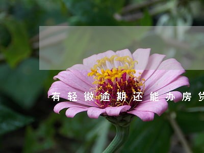 有轻微逾期还能办房贷吗