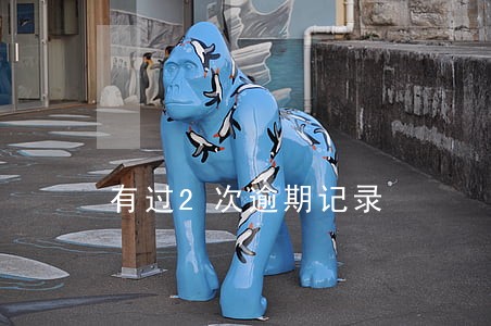 有过2次逾期记录 有过2次逾期记录