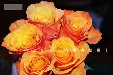 有过90天逾期办信用卡吗 有过90天逾期办信用卡吗