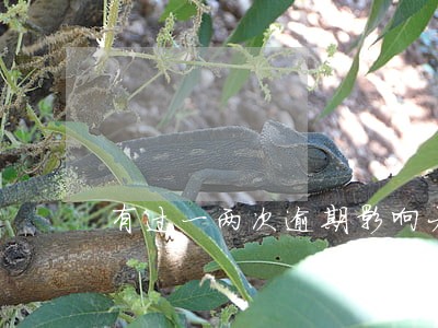 有过一两次逾期影响大吗 有过一两次逾期影响大吗