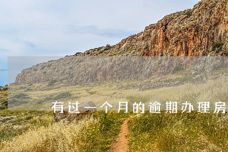 有过一个月的逾期办理房贷 有过一个月的逾期办理房贷