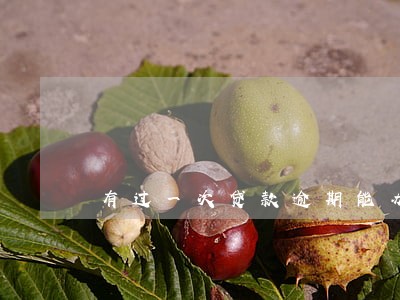 有过一次贷款逾期能办房贷吗 有过一次贷款逾期能办房贷吗