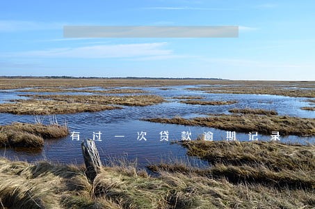 有过一次贷款逾期记录 有过一次贷款逾期记录