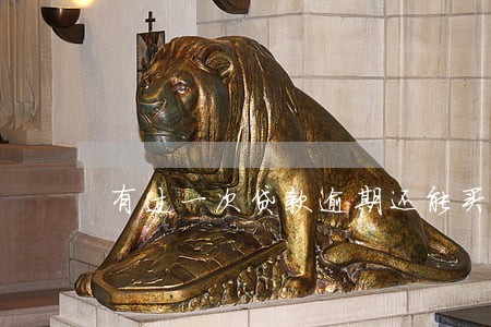 有过一次贷款逾期还能买房吗 有过一次贷款逾期还能买房吗