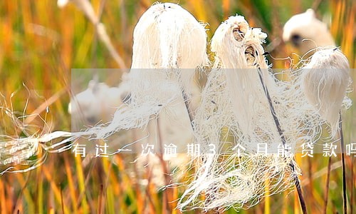 有过一次逾期3个月能贷款吗 有过一次逾期3个月能贷款吗