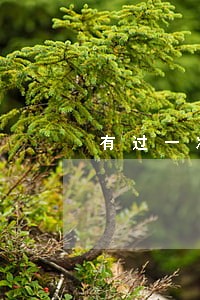 有过一次逾期买房影响吗 有过一次逾期买房影响吗