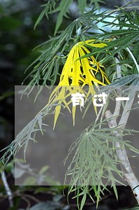 有过一次逾期信用卡好办吗