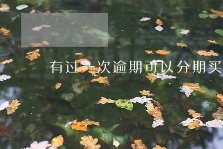 有过一次逾期可以分期买车吗 有过一次逾期可以分期买车吗